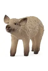 Schleich Mangalica Piglet Figure