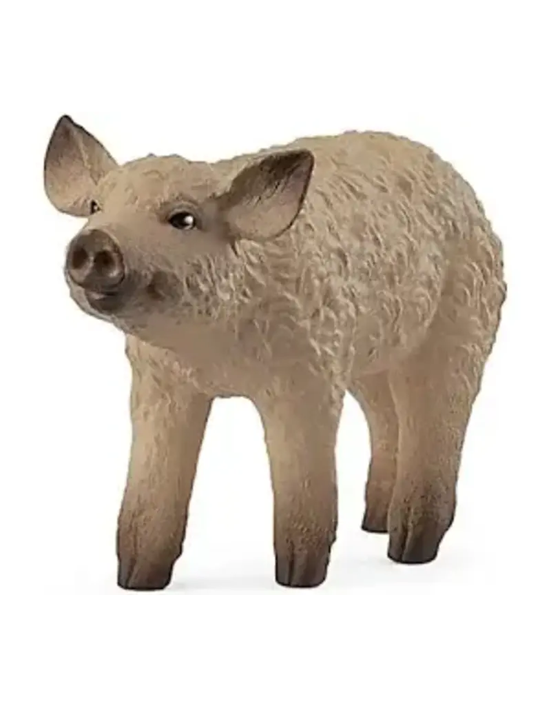 Schleich Mangalica Piglet Figure