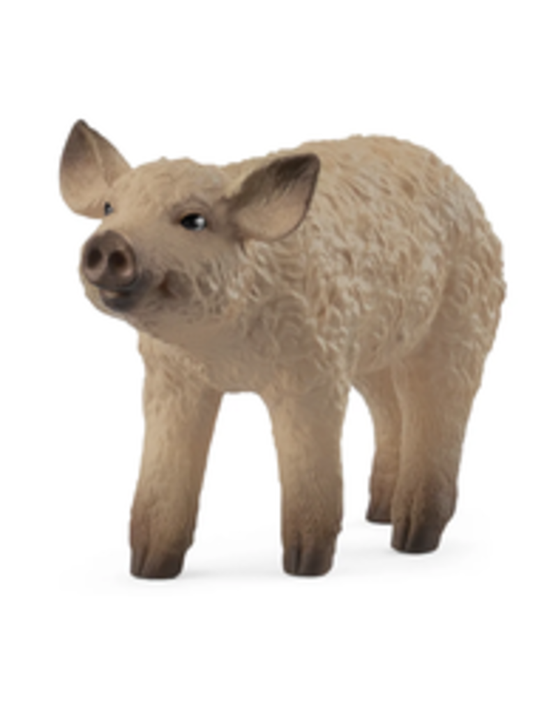 Schleich Mangalica Piglet Figure