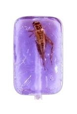 FAIRE Hotflix Real! Cricket Lick-It Suckers - Grape (Sold Individually)