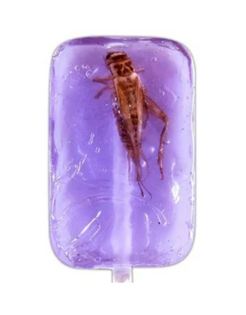 FAIRE Hotflix Real! Cricket Lick-It Suckers - Grape (Sold Individually)