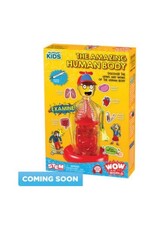 WonderyKids The Amazing Human Body