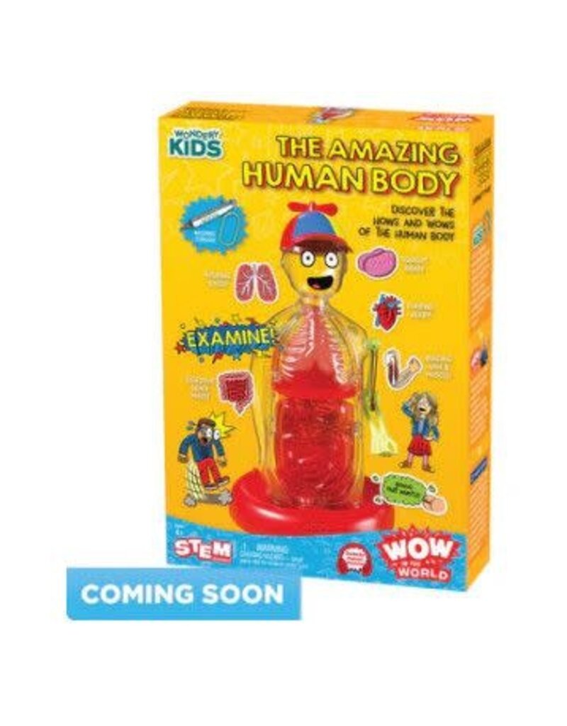WonderyKids The Amazing Human Body