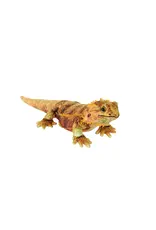 Wild Republic Plush Living Bearded Dragon