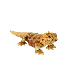 Wild Republic Plush Living Bearded Dragon