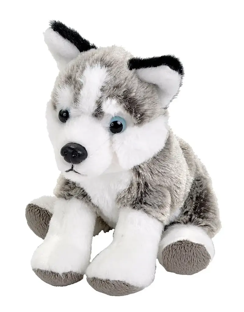Wild Republic Pocketkins Eco Husky