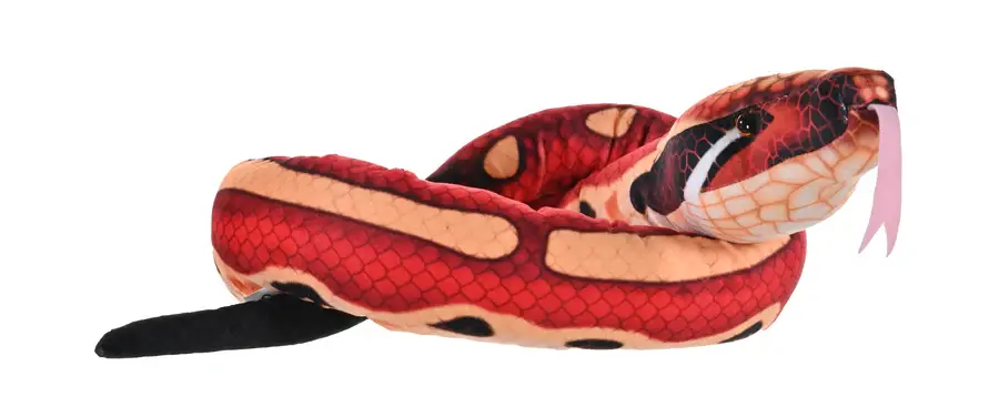 Snake Eco Blood Python