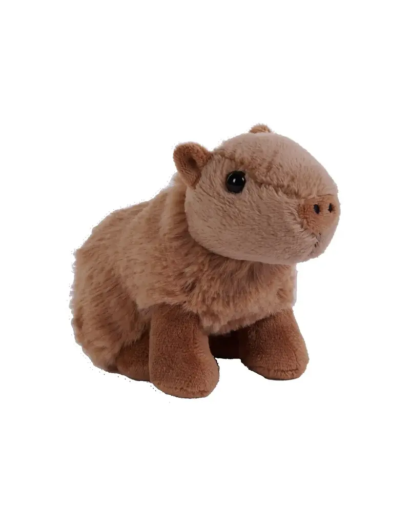 Wild Republic Plush Pocketkins Eco Capybara (5")