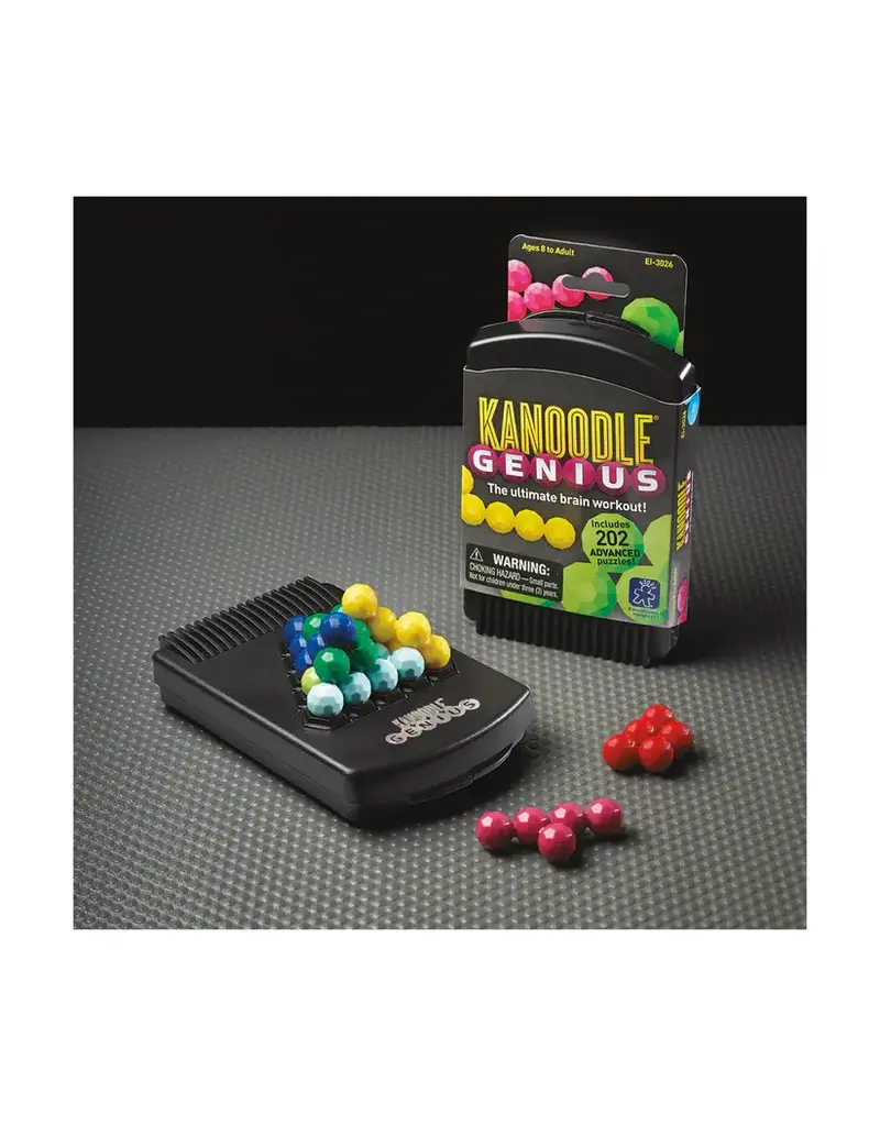 Educational Insights Game Kanoodle Genius