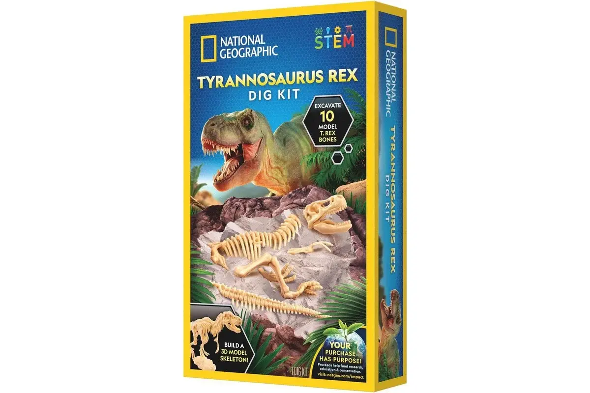 Dig Kit National Tyrannosaurus Rex