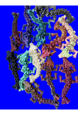 LNZ Custom Design 3D Printed Baby Woodland Dragon Assorted color (color will vary) sold single