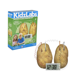 The toy network Science Kit Potato Clock