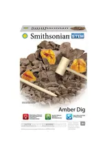 Smithsonian Amber Dig Kit Value Pack