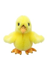 The Puppet Company Wilberry Chick