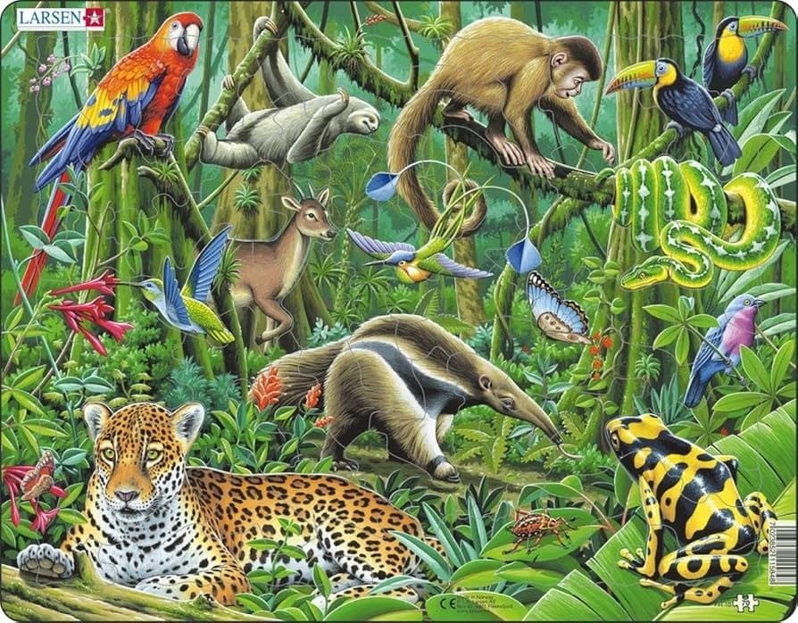 South African Animal Puzzle
