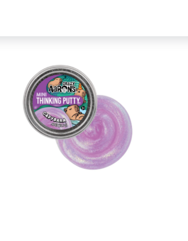 Crazy Aaron Putty Crazy Aaron's Thinking Putty - Capybara 2" Mini Tin
