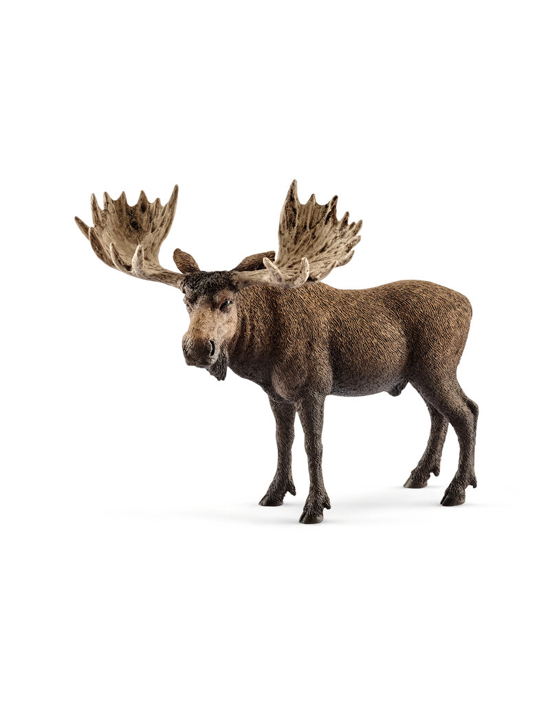 Schleich Schleich Moose Bull