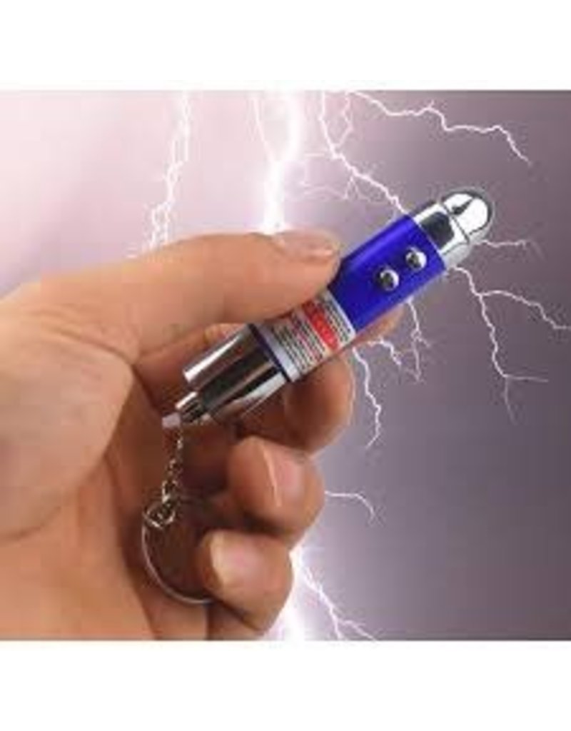 The toy network Keychain Shocking Joke/Gag