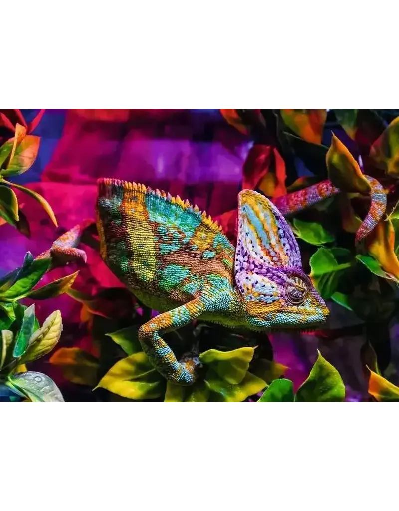 Ravensburger Ravensburger Puzzle Chameleon