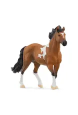 Schleich Schleich Mangalarga Marchadon Stallion