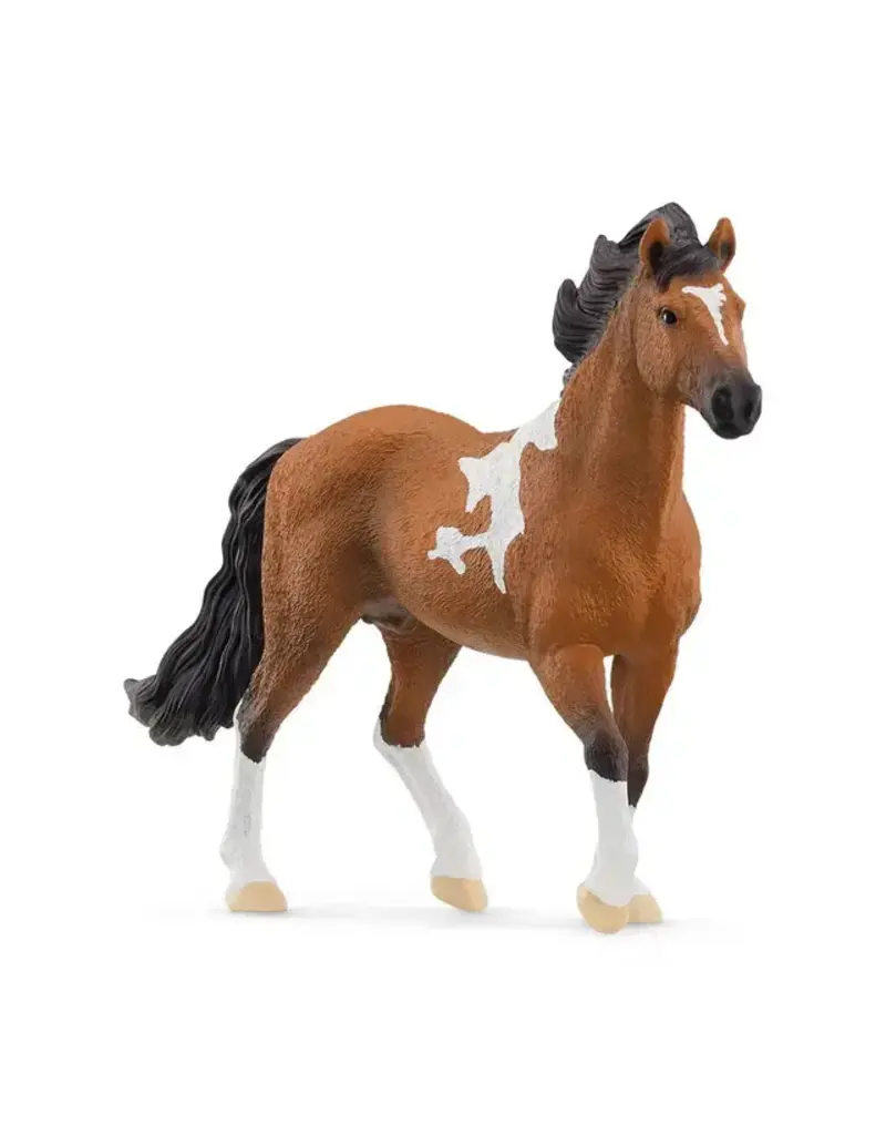 Schleich Schleich Mangalarga Marchadon Stallion