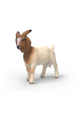 Schleich Schleich Boer Goat