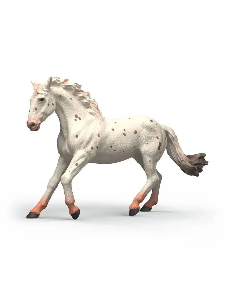 Schleich Schleich Knabstrupper Mare