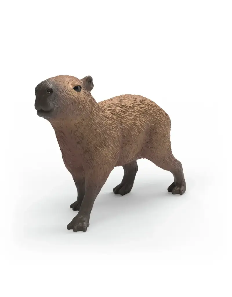 Schleich Schleich Capybara