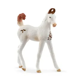 Schleich Schleich Marwari Foal