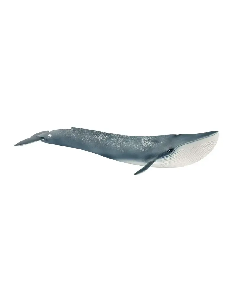 Schleich Schleich Blue Whale