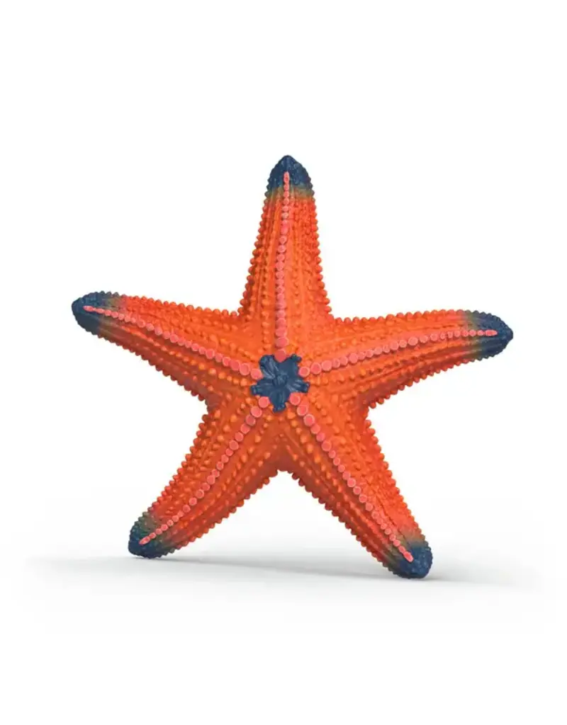 Schleich Starfish Color Changing