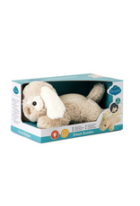 Peter John M. Distributions Inc. Cloud.b. Dream buddies puppy
