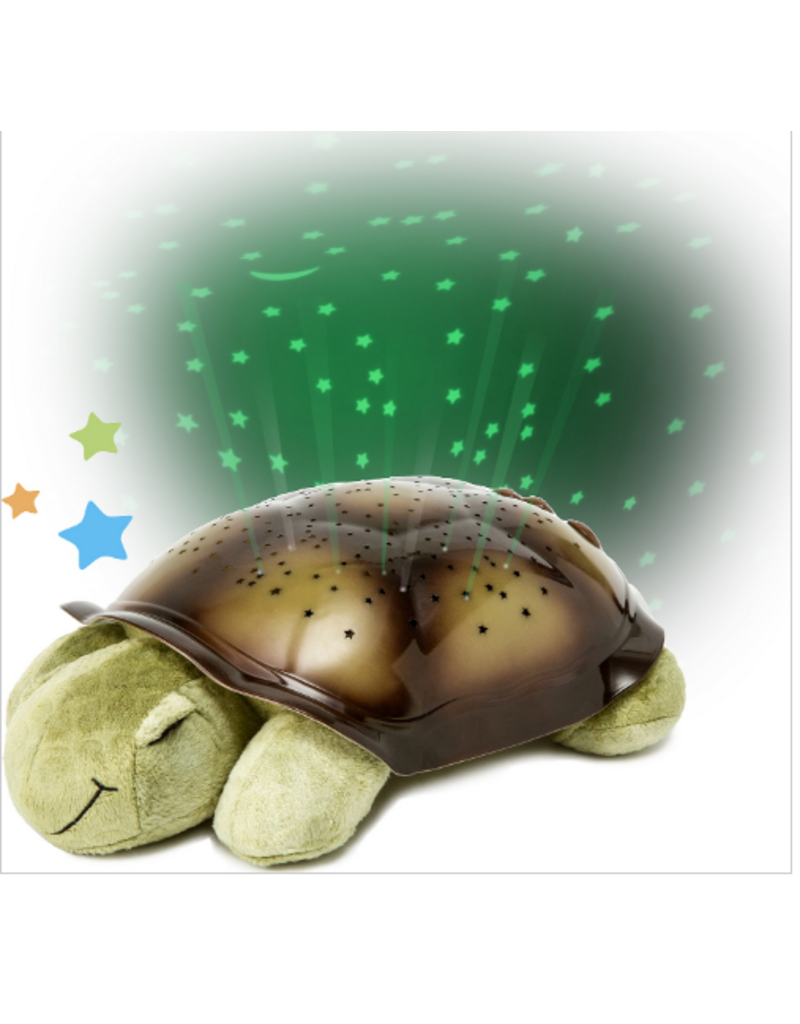 Peter John M. Distributions Inc. Cloud.b-Twilight Turtle