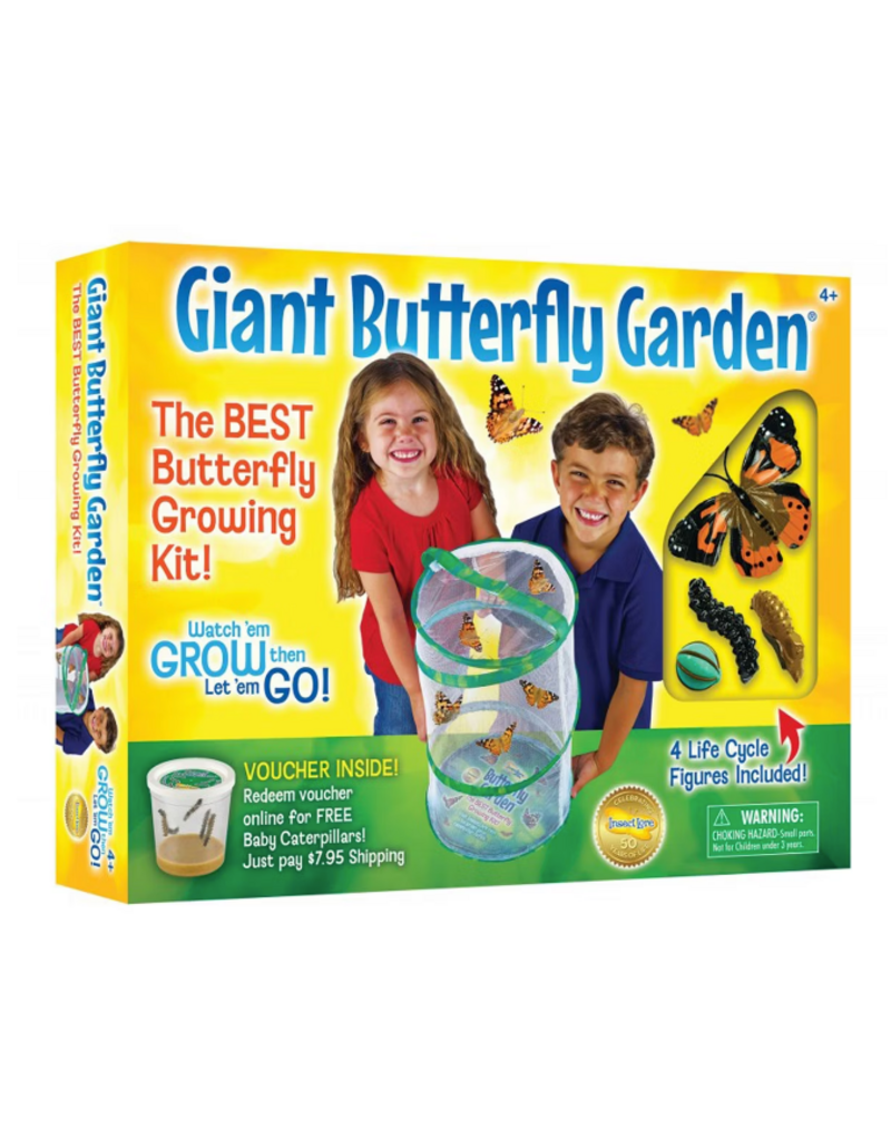 Insect Lore Science Kit Giant Butterfly Garden