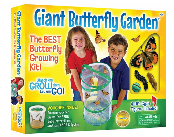 Science Kit Giant Butterfly Garden