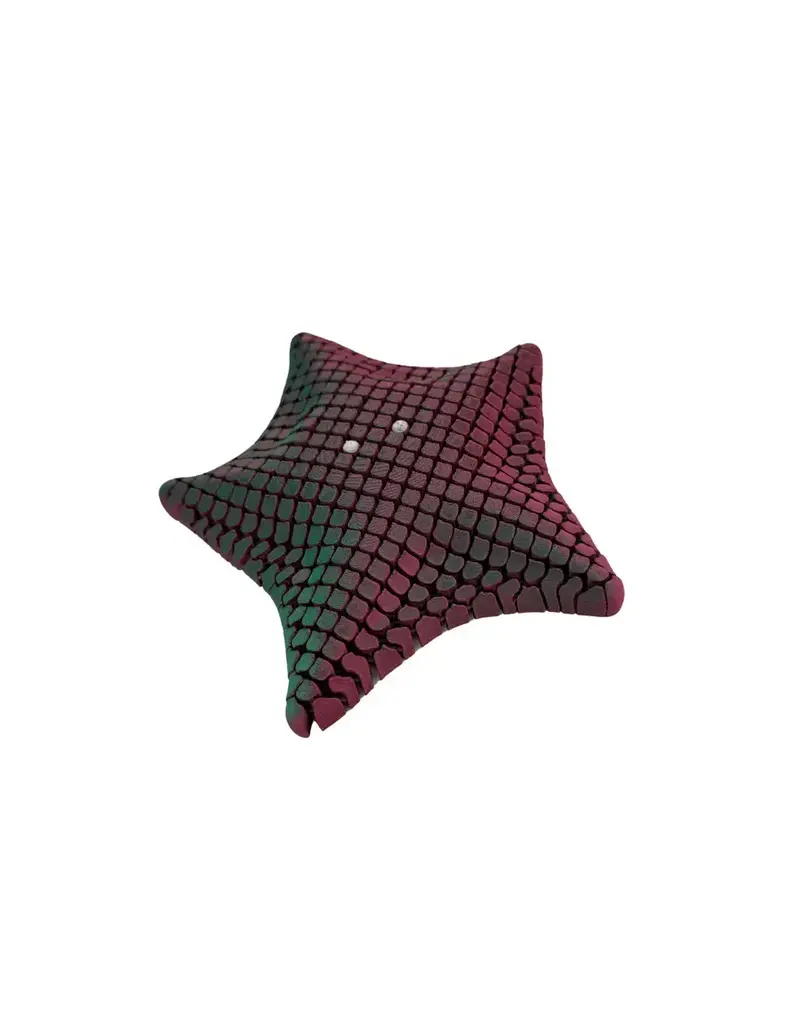 PYE Games Floppy Starfish (Colors Vary)