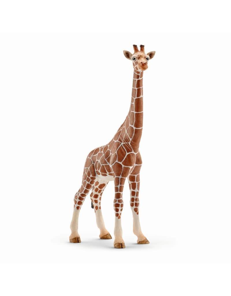 Schleich Schleich Female Giraffe