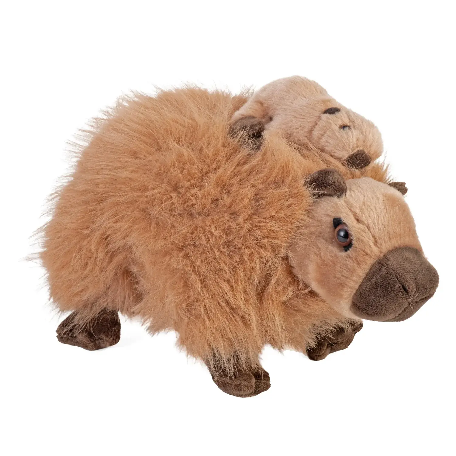 Capybara Mom and Baby