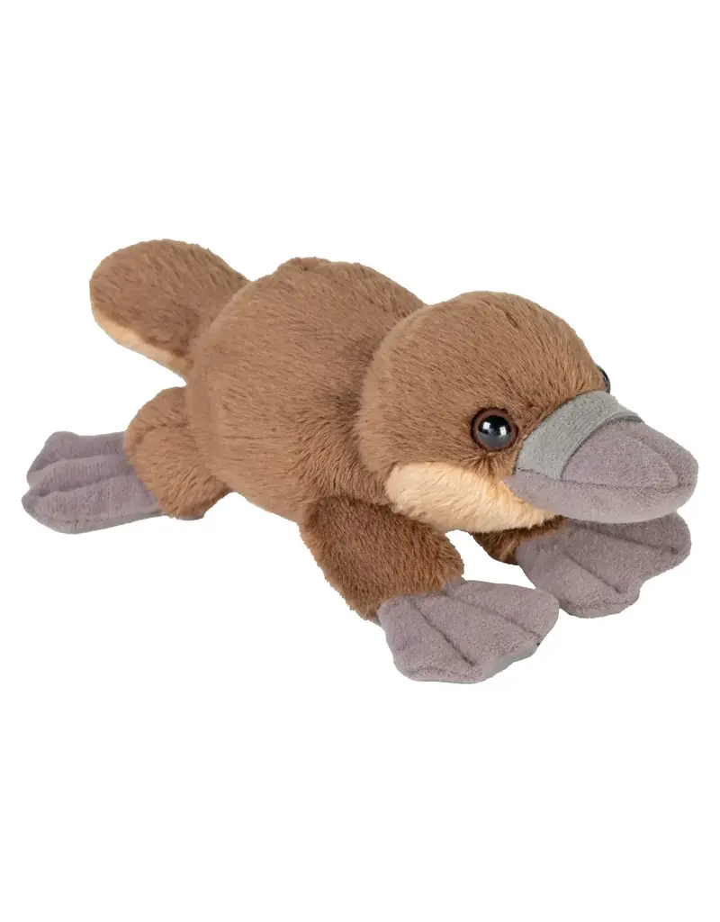 Wild Republic Plush Eco Pocketkins Platypus