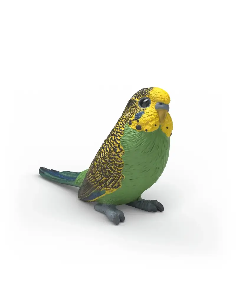 Schleich Schleich Budgie