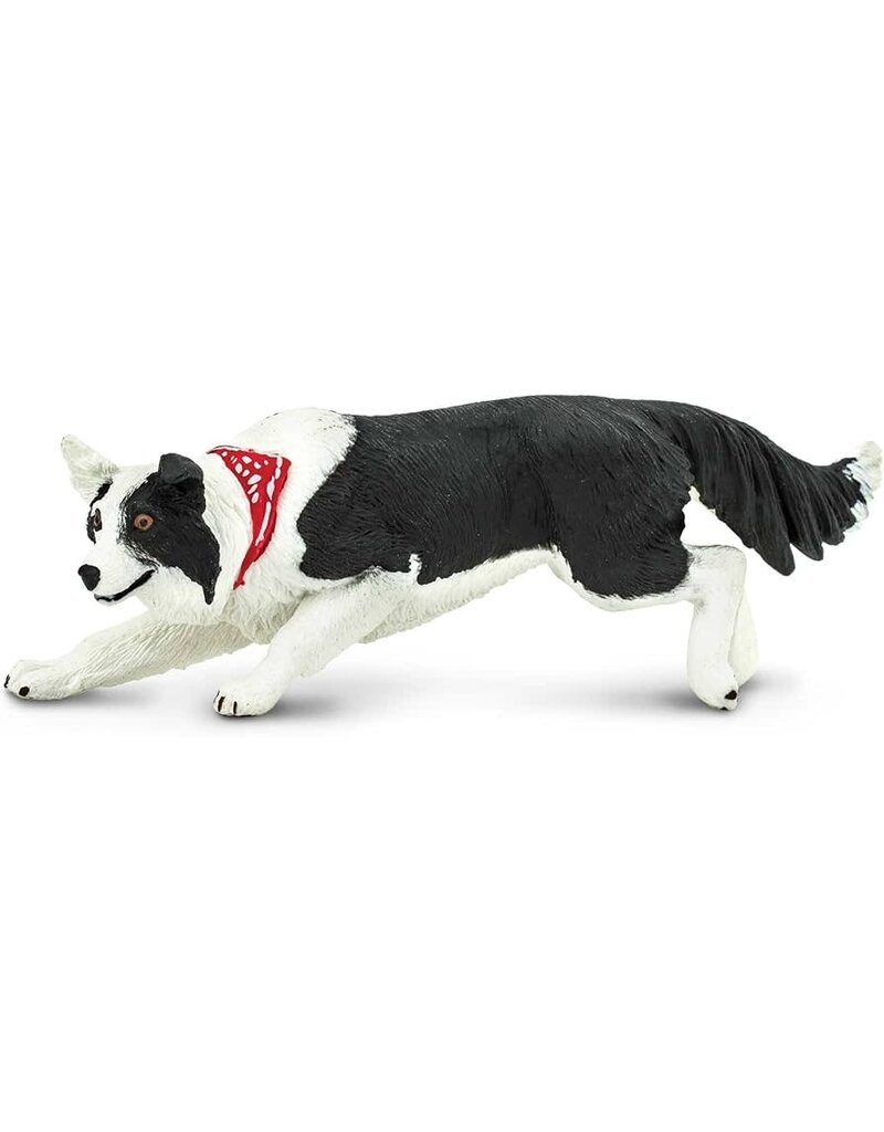Safari Ltd. Safari Ltd Border Collie Figure
