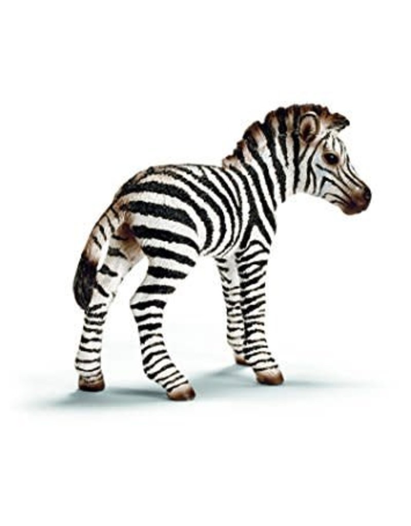 Schleich Schleich Zebra Foal