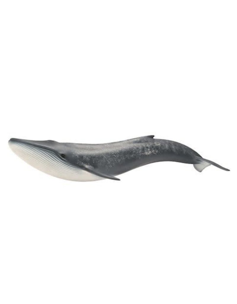 Schleich Schleich Blue Whale