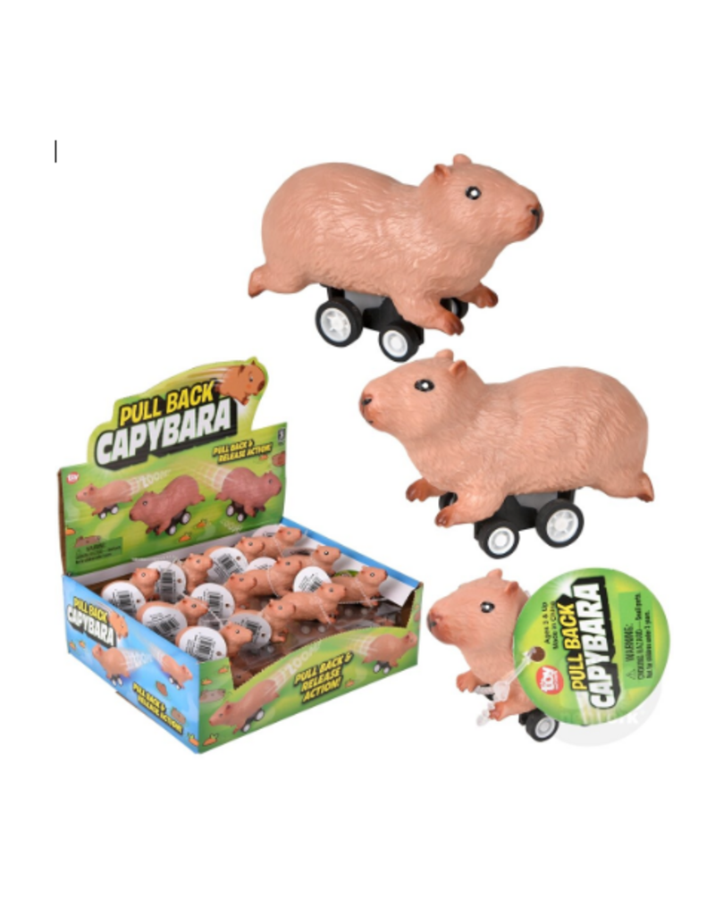The toy network Pullback Capybara (2.5"; Sold Individually)