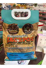 Diggin Rocks and Fossils Paleantologist's Jackpot - Teal