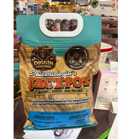 Diggin Rocks and Fossils Paleantologist's Jackpot - Teal