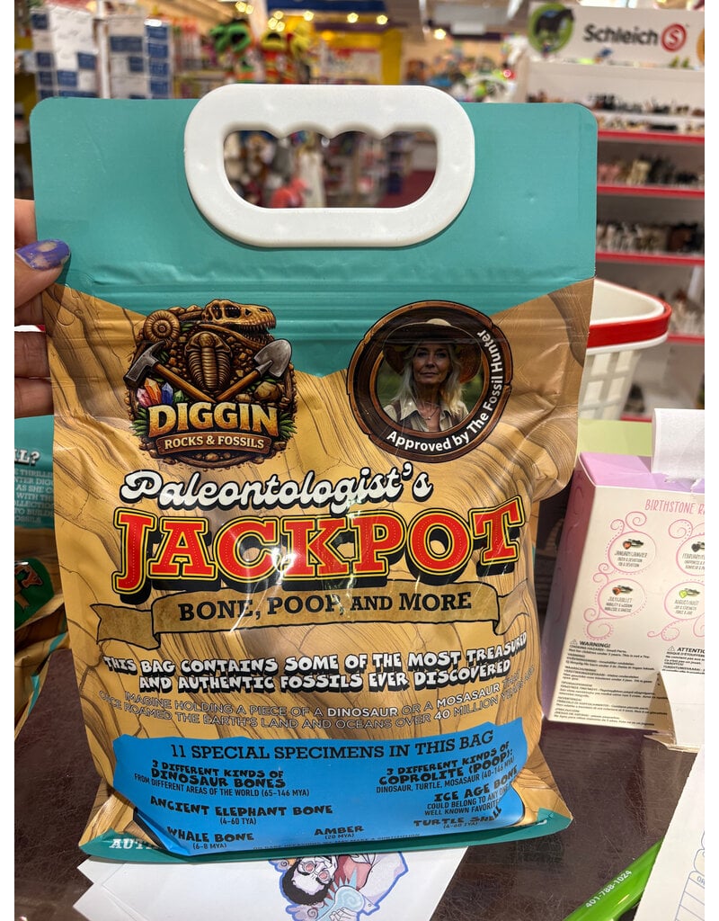 Diggin Rocks and Fossils Paleantologist's Jackpot - Teal
