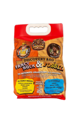 Diggin Rocks and Fossils Discovery Bag - Fancy Rock and Fossils - Beginner's Special