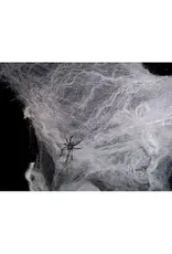 Spider Web