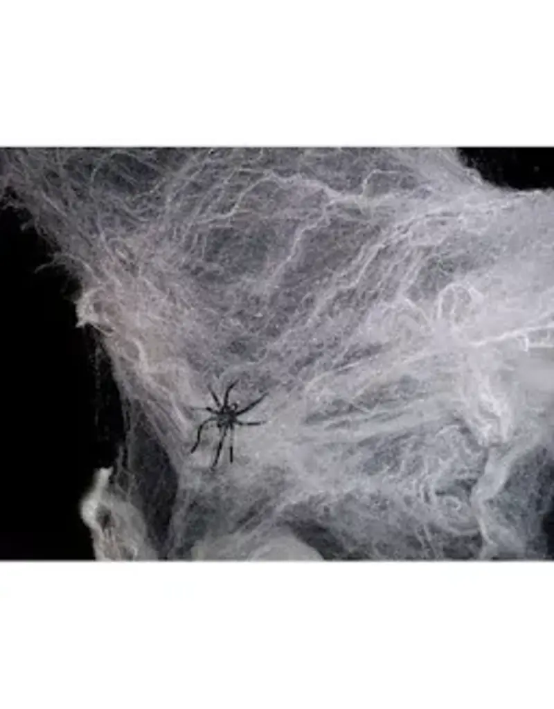 Spider Web